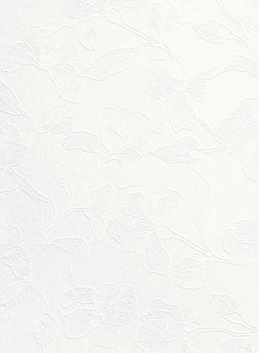 8d1f4d67-6abf-42ea-bf44-7bacf297e7fd_edited.jpg
