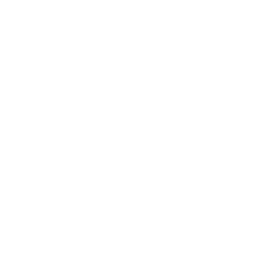 Copia de Copia de Copia de Copia de Copia de Copia de Copia de Copia de Copia de Copia de