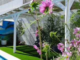 Pérgola de madera blanca con cañizo natural, diseño de Pergo Málaga. Un espacio de sombra, elegancia y frescura junto a la piscina.