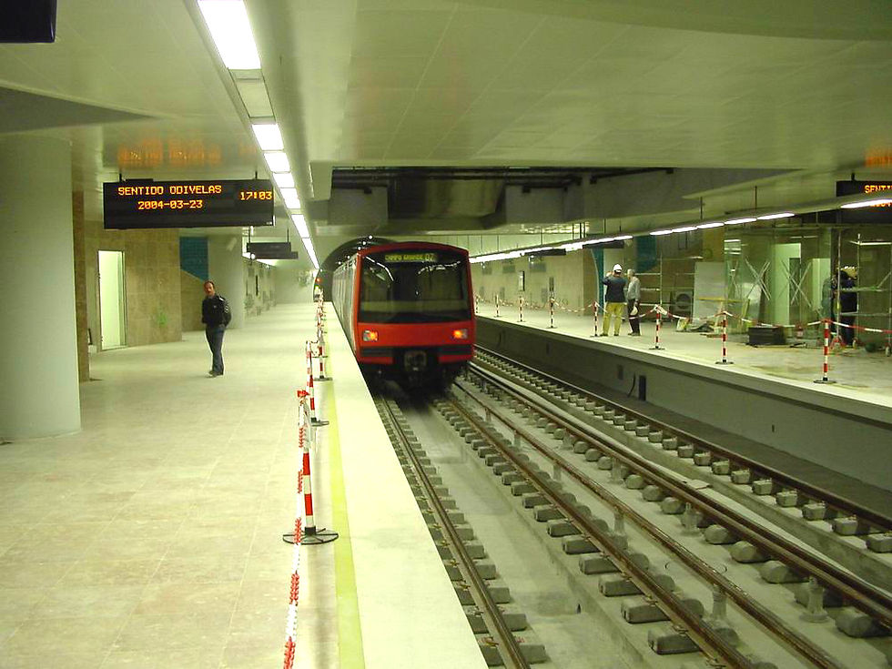 Ameixoeira 11