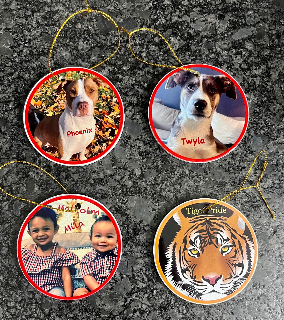 Thumbnail: Holiday Ornaments
