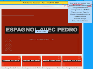 Retrouvez toutes les leçons d'espagnol avec Pedro dans la section "Multimedia"