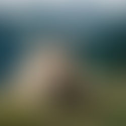 Kernwärts® Conscious Breathwork - Centering and Mirror Breathing