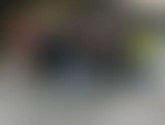 WE NEED YOUR HELP! Crowdfunding ALPS Foundation