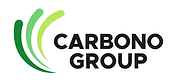LOGOTIPO CARBONO GROUP 2023 [Recuperado]_Mesa de trabajo 1.png