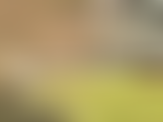 Prochaine soirée du Cercle Wine Business Tours au Château de Beaulieu