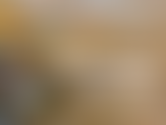 Prochaine soirée du Cercle Wine Business Bordeaux au restaurant Le Chapon Fin