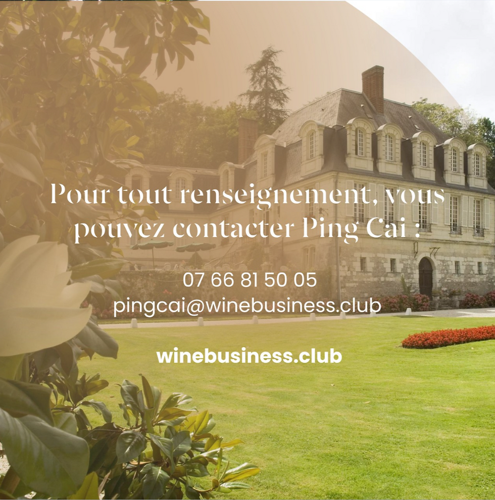 Cercle Wine Business Tours