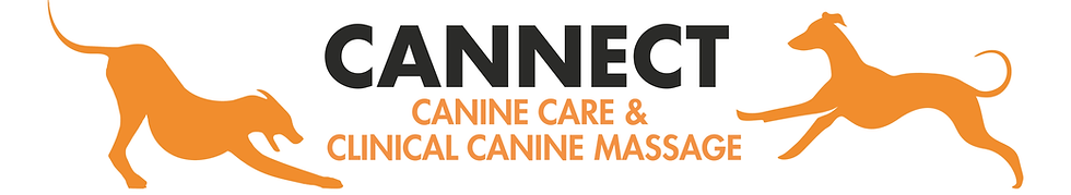 Canine Care & Clinic Canine Massage (1).png