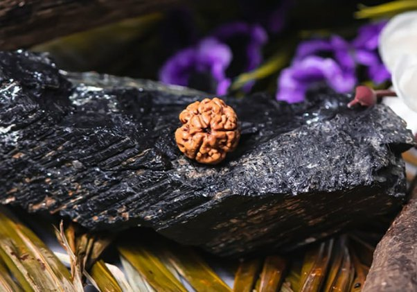 Ganesh Rudraksha - Know Its Spiritual Significances & Benefits 