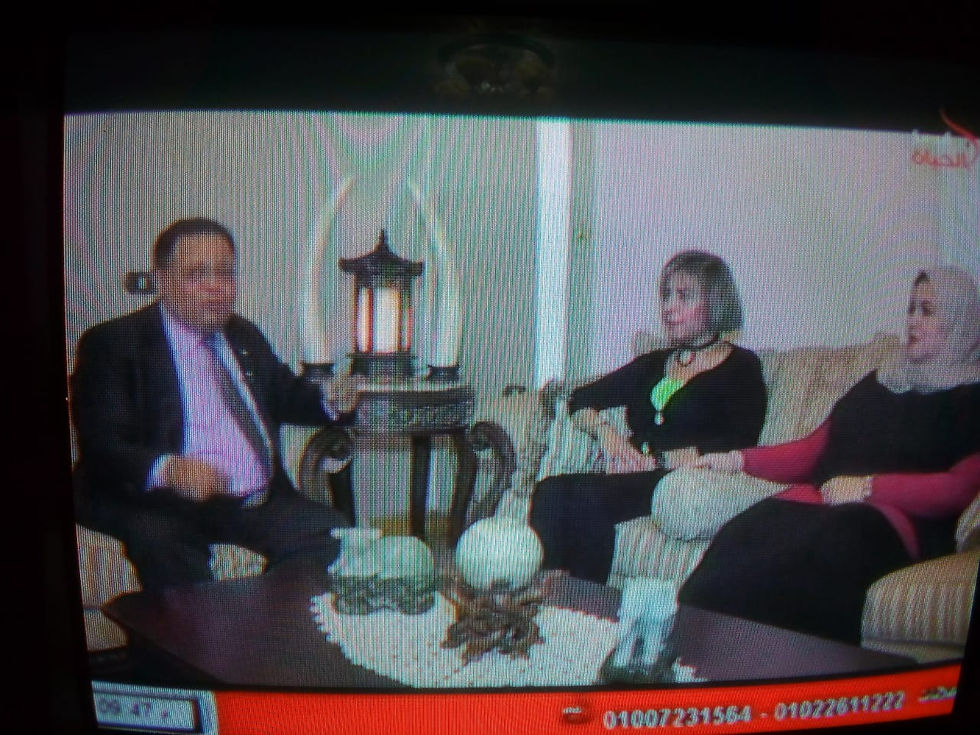 TV, Egypt, Mr. Ihab Tahoon