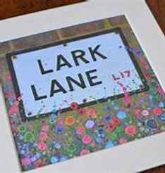 lark lane 1.jpg