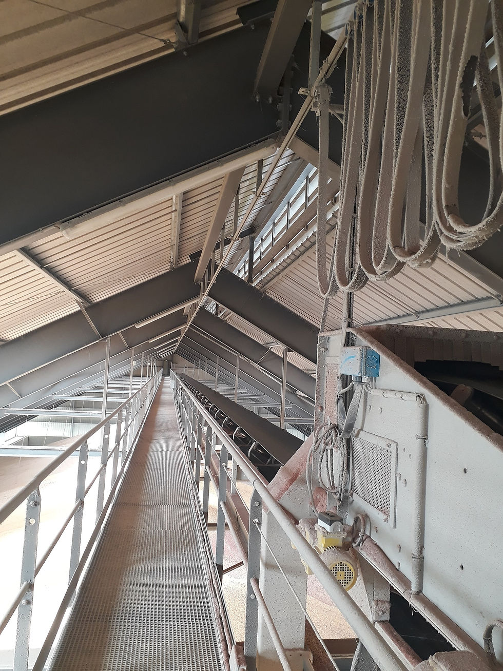 Миниатюра: Chariot double sur filin porteur 8-12mm pour câbles plats 75x15