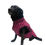 Thumbnail: Premium Waterproof Dog Jacket – Size 26 (Blue & Purple)