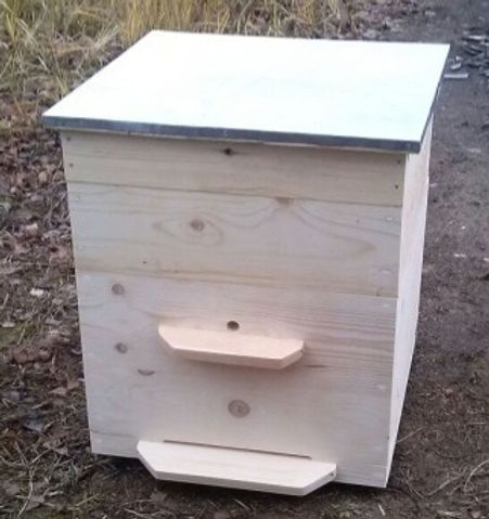 1636475890_edited.jpg