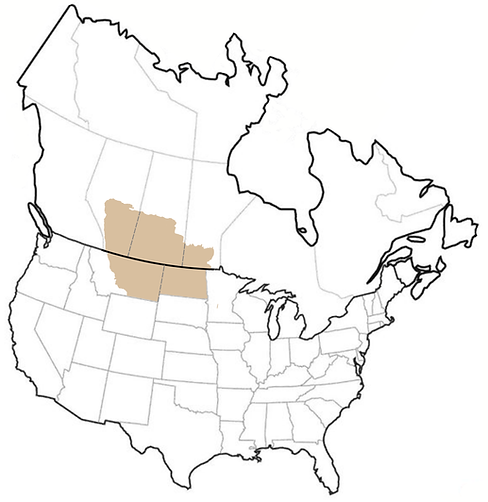 Untitled design (12).png