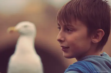 Young boy and a bird looking to the left in Rome, Italy.