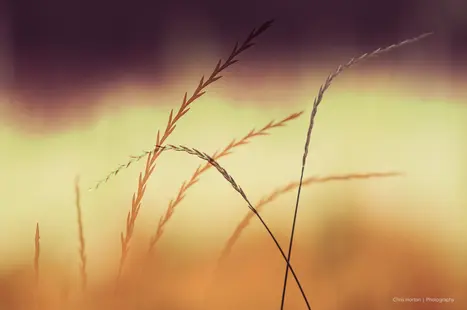 Multi exposure photo