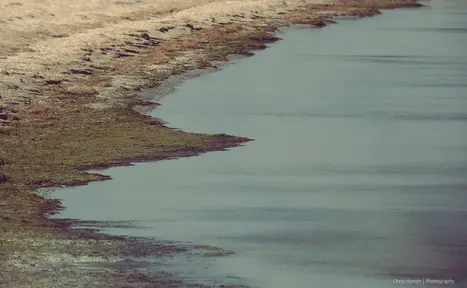 Side of a waterway with vintage texture in La Camargue, France