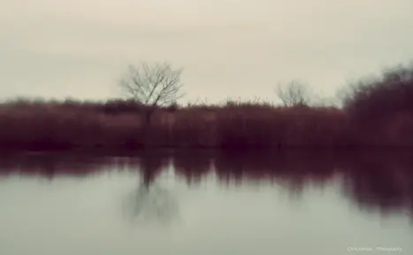 Dreamy reflection in the water at Lattes, France