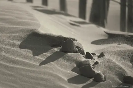 Clumped sand dune with lines at Plage de l’Espiguette, Le Grau du Roi.