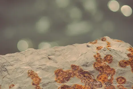 Orange-moss rock with white bokeh lights.