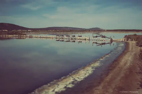 Nature and water at Frontignan's saltworks