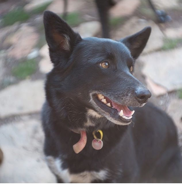 Three Dams Estate Vineyard Winery Spanish Cantina Heathcote