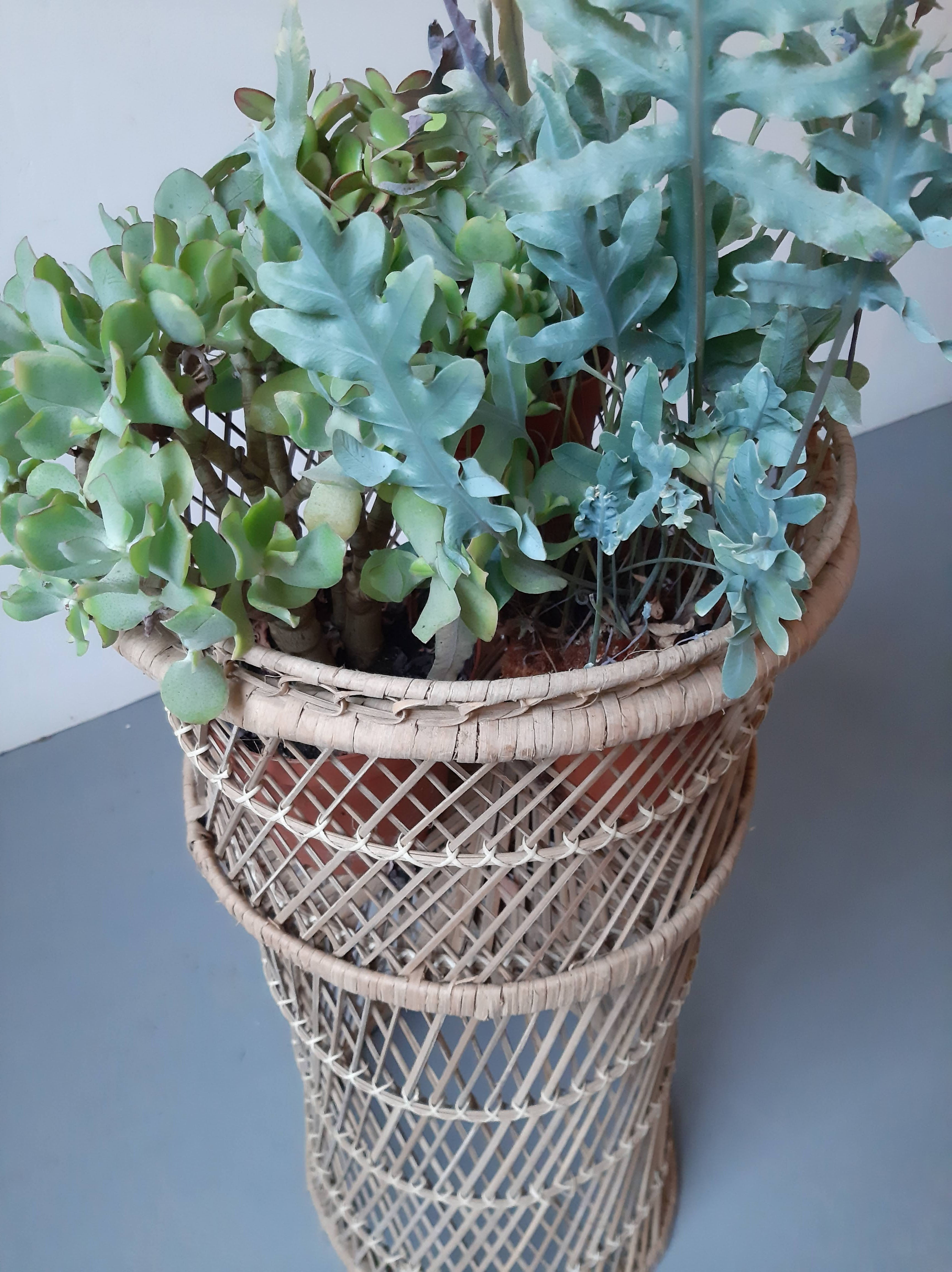 Vintage Wicker Planter