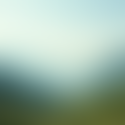 How Corporate Sponsorship Can Transform Your Healing Retreat Experience