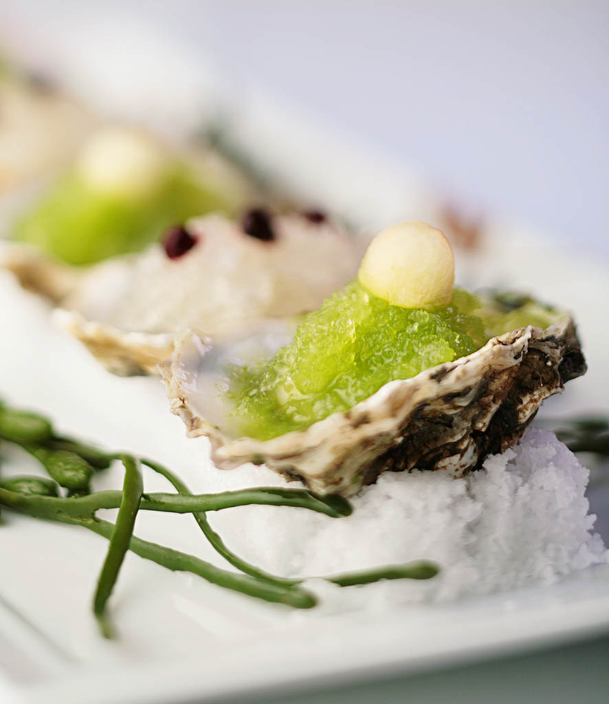kusshi oysters