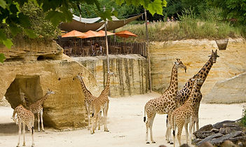 bioparc-doue-la-fontaine.jpg