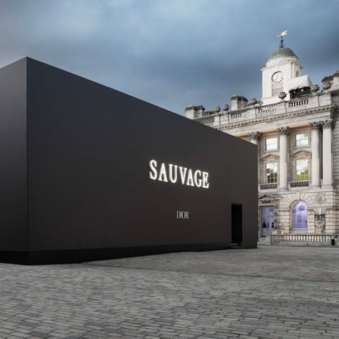 Dior Fort Sauvage