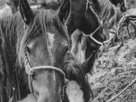 Cavan Community ENews 9.8.24