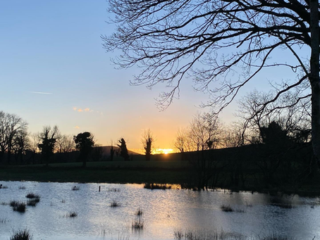 Cavan Community ENews 3.4.26