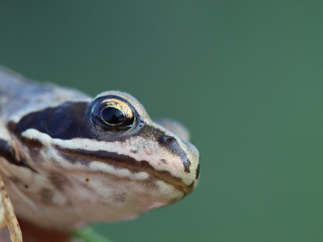 Cavan Community ENews 6.3.26