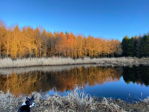 Cavan Community ENews 28.11.25