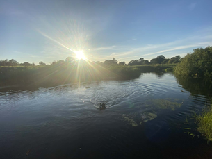 Cavan Community ENews 14.8.26
