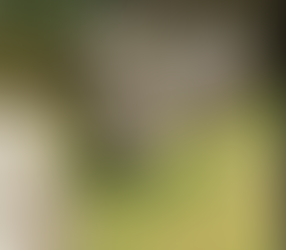 Cavan Community ENews 10.4.26