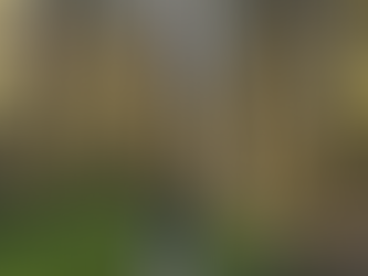 Cavan Community ENews 13.3.26