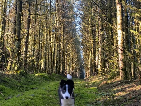 Cavan Community ENews 13.3.26