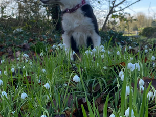 Cavan Community ENews 30.1.26