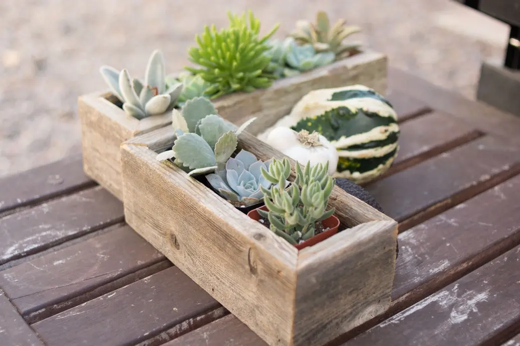 Reclaimed Wood Succulent Planter - Small Trough