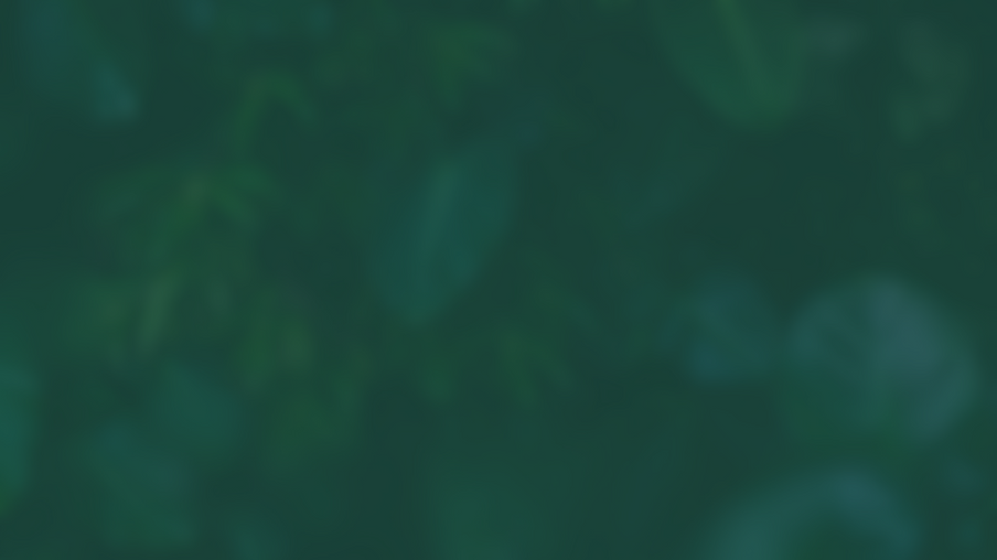 Home-11.png