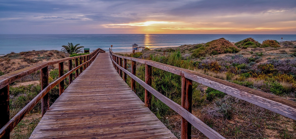 freepik__upload__28393.png