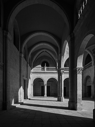 freepik_black-and-white-high-cont_2785107199.png