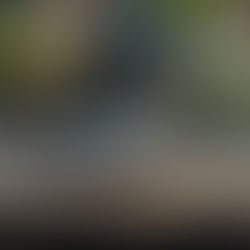 Automatic vs Manual Car Training — Which One Should You Choose in India?