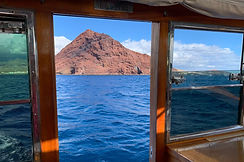 IMG-20251225-WA0012 (1).jpg