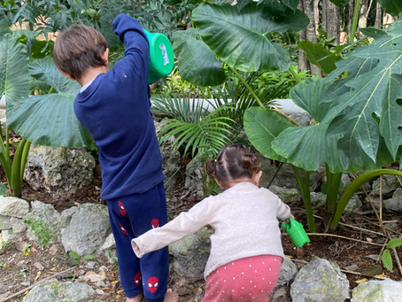 Ritmos que sostienen la infancia