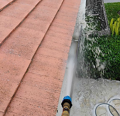 Gutter Cleaning.jpg